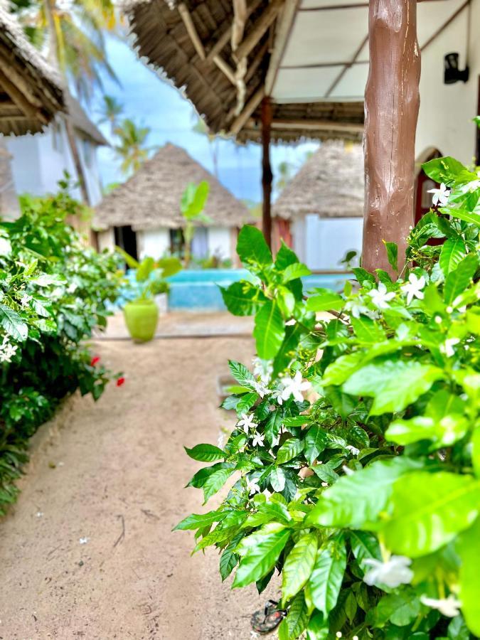 Jambiani White Sands Bungalows מראה חיצוני תמונה